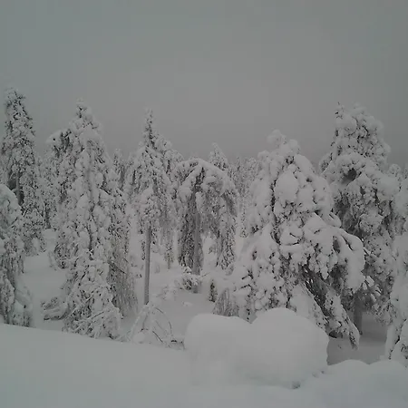 Holiday home Karemajat